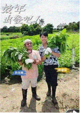 极限挑战宝藏行